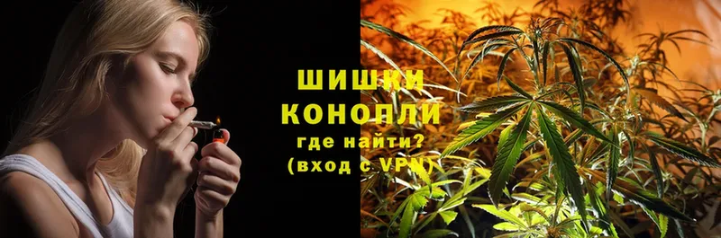 цены   Лебедянь  Бошки марихуана OG Kush 